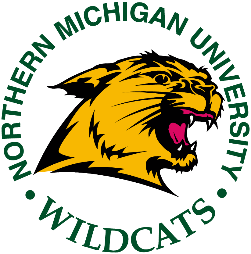 Northern Michigan Wildcats 1993-2015 Primary Logo diy DTF decal sticker